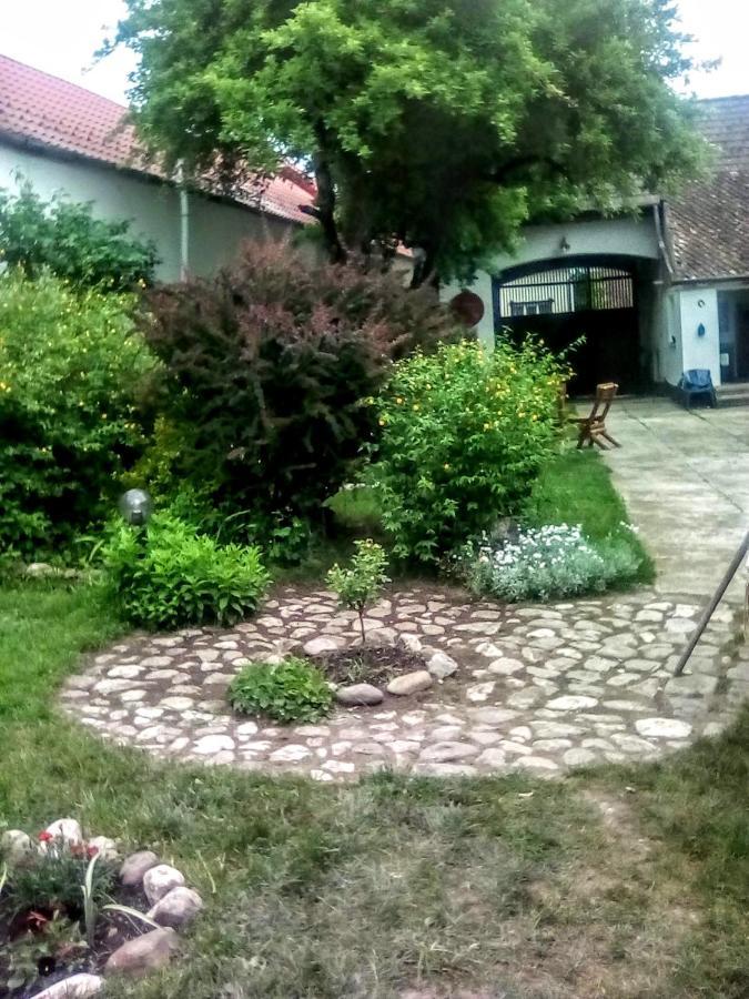 הוילה Hărman Casa Din Coltul Cetatii מראה חיצוני תמונה